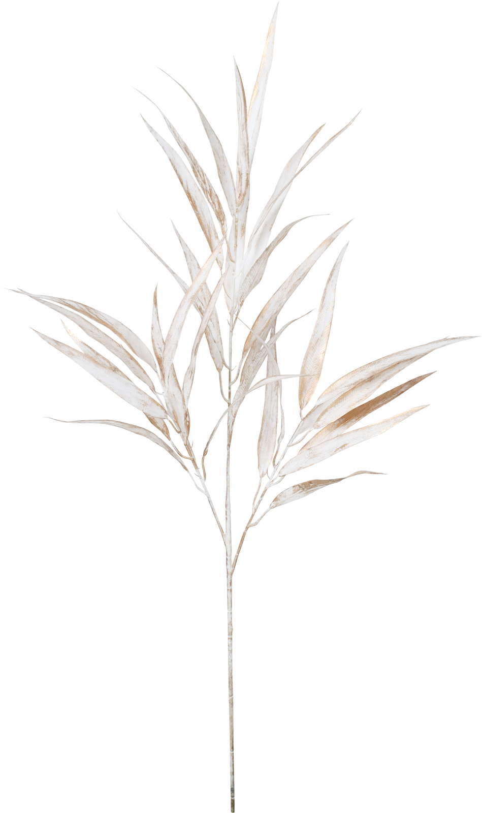 元上代¥1300 ブラッシュホソバユーカリブランチ