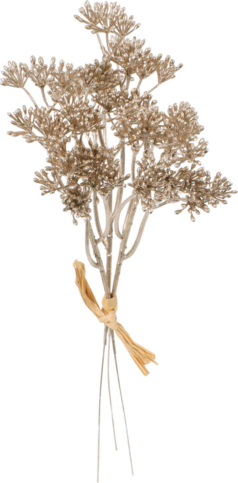 元上代¥680 メタリックベリーバンチ