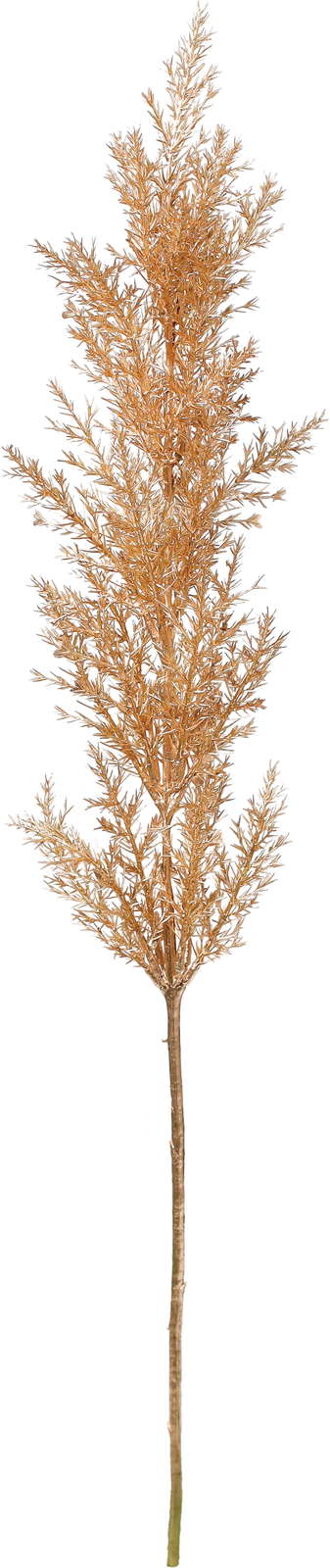 元上代¥980 ブラッシュジュニパー