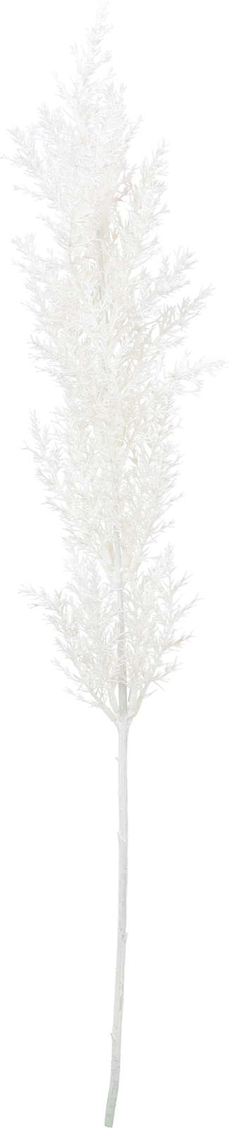 元上代¥980 ブラッシュジュニパー