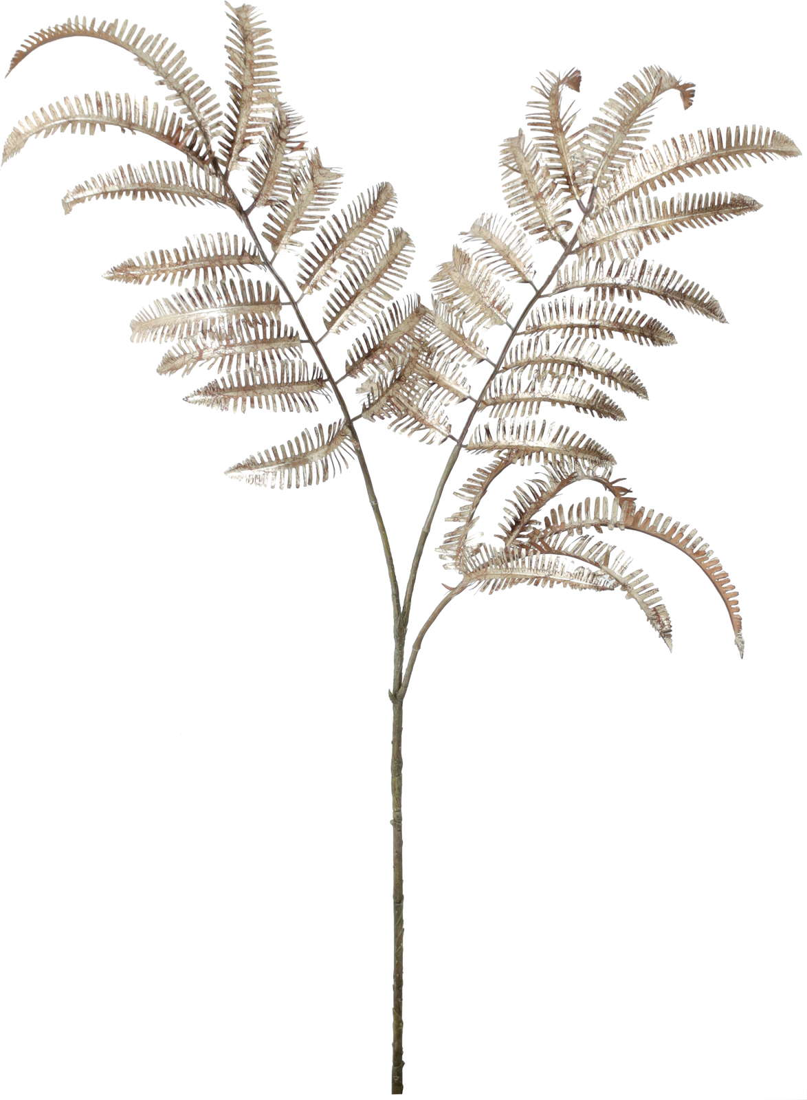 く1900@βٱؽذ̽ڰ