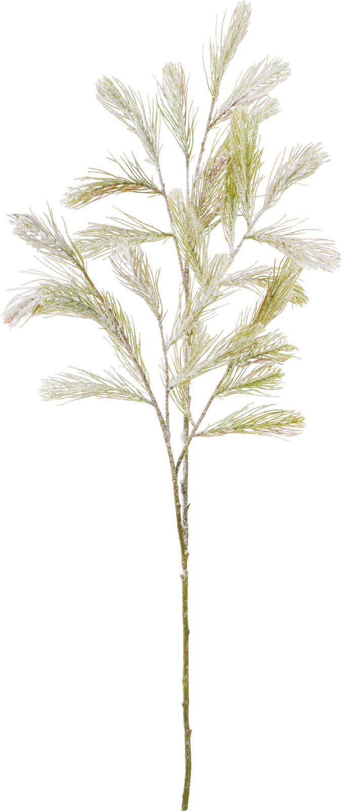 元上代¥3200 スライトスノーパインブランチ