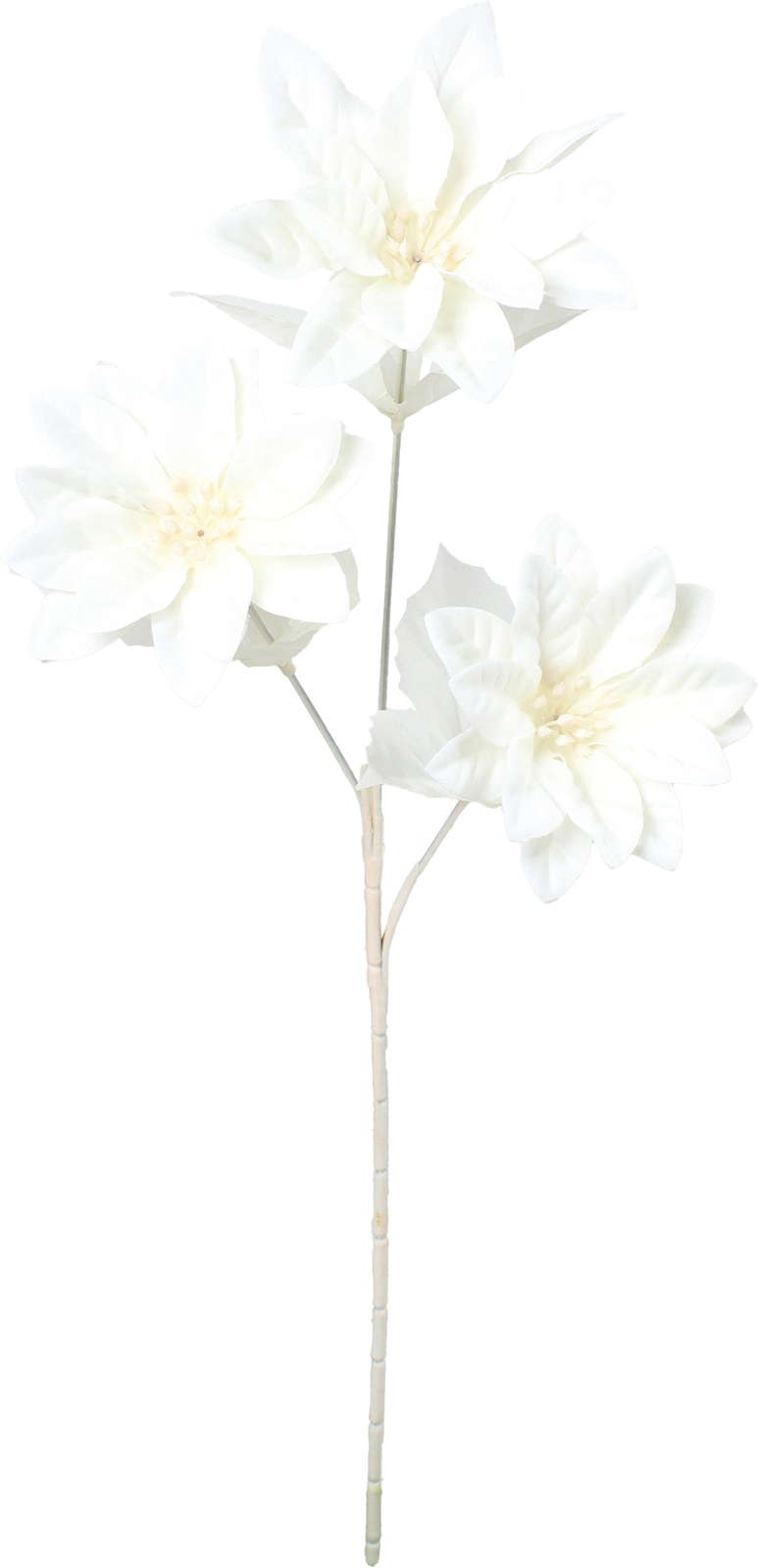 元上代¥180 ネージュポインセチアスプレー