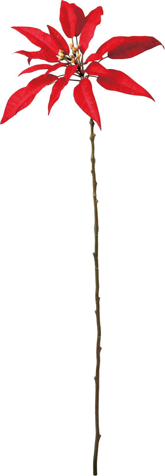 ����ޯļݸ���߲ݾ��