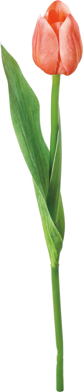 ϲ�����د��