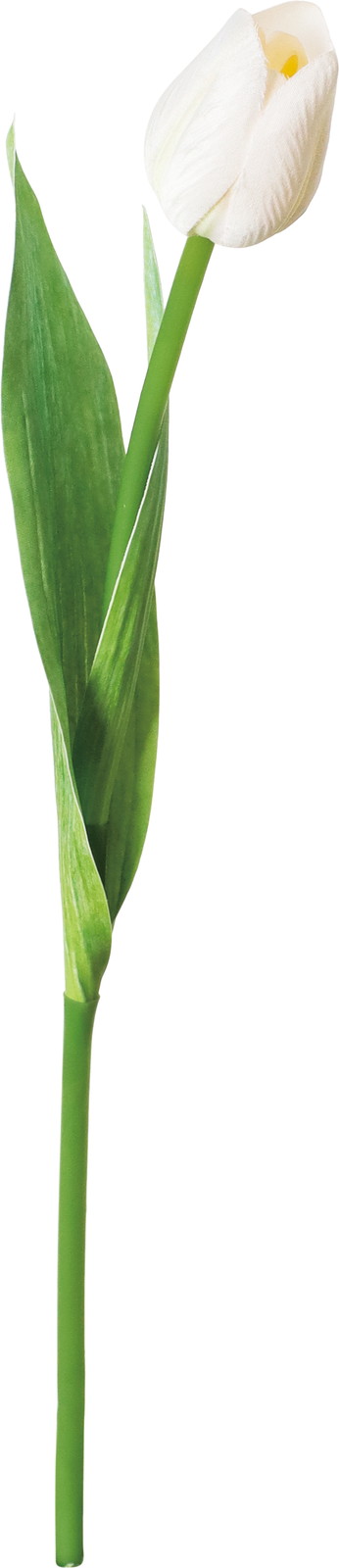 ϲ�����د��