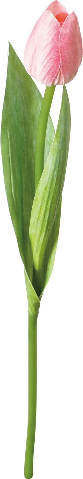 ϲ�����د��