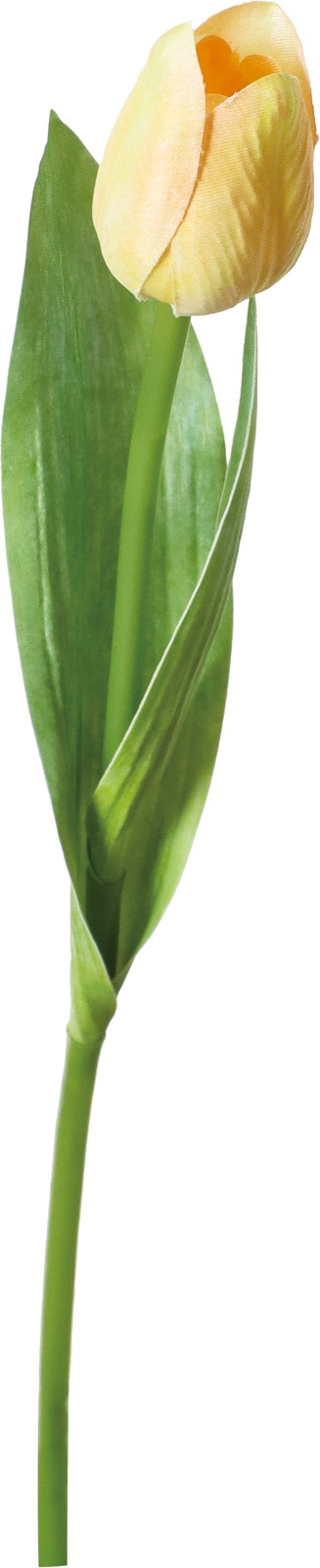 ϲ�����د��