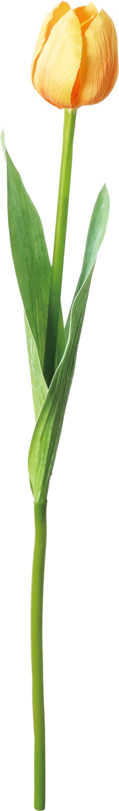 ���ި���د��