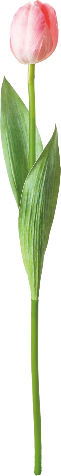 ���ި���د��