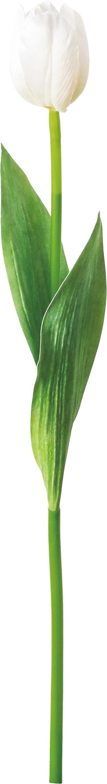 ���ި���د��