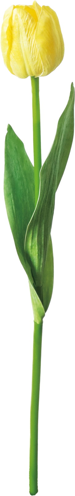 ���ި���د��