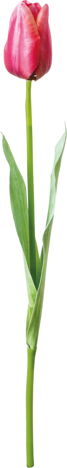 �ذ����د��