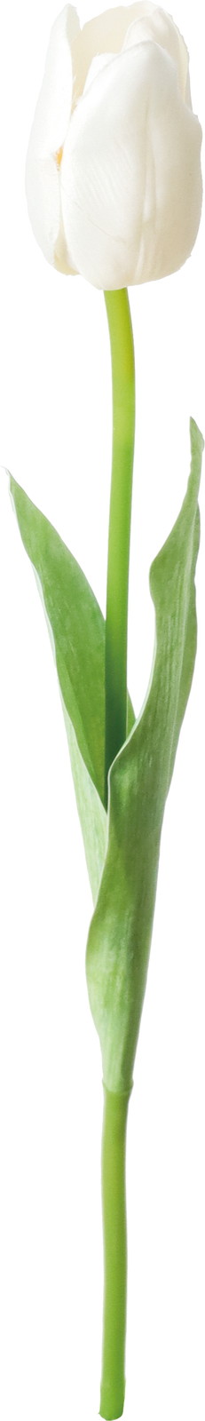 �ذ����د��