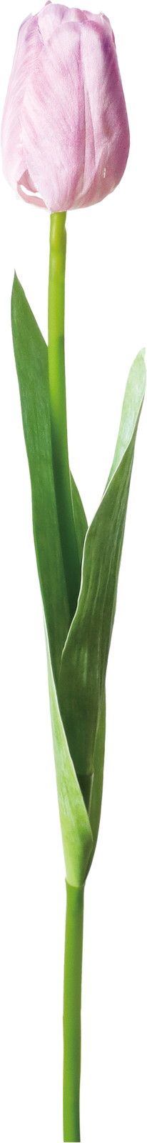 �ذ����د��