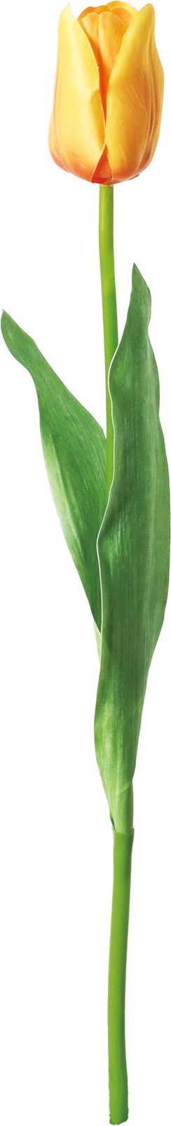 �ذ����د��