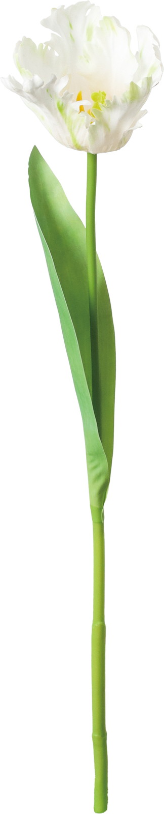 ��ۯ����د��