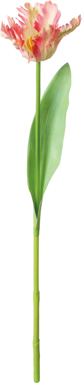 ��ۯ����د��