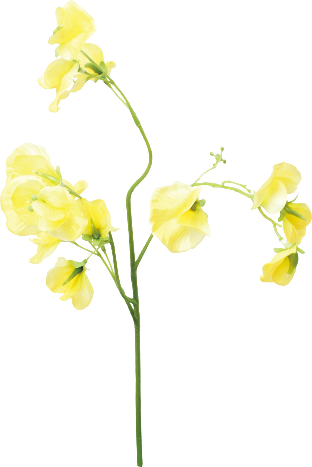 �����߰���ڰ