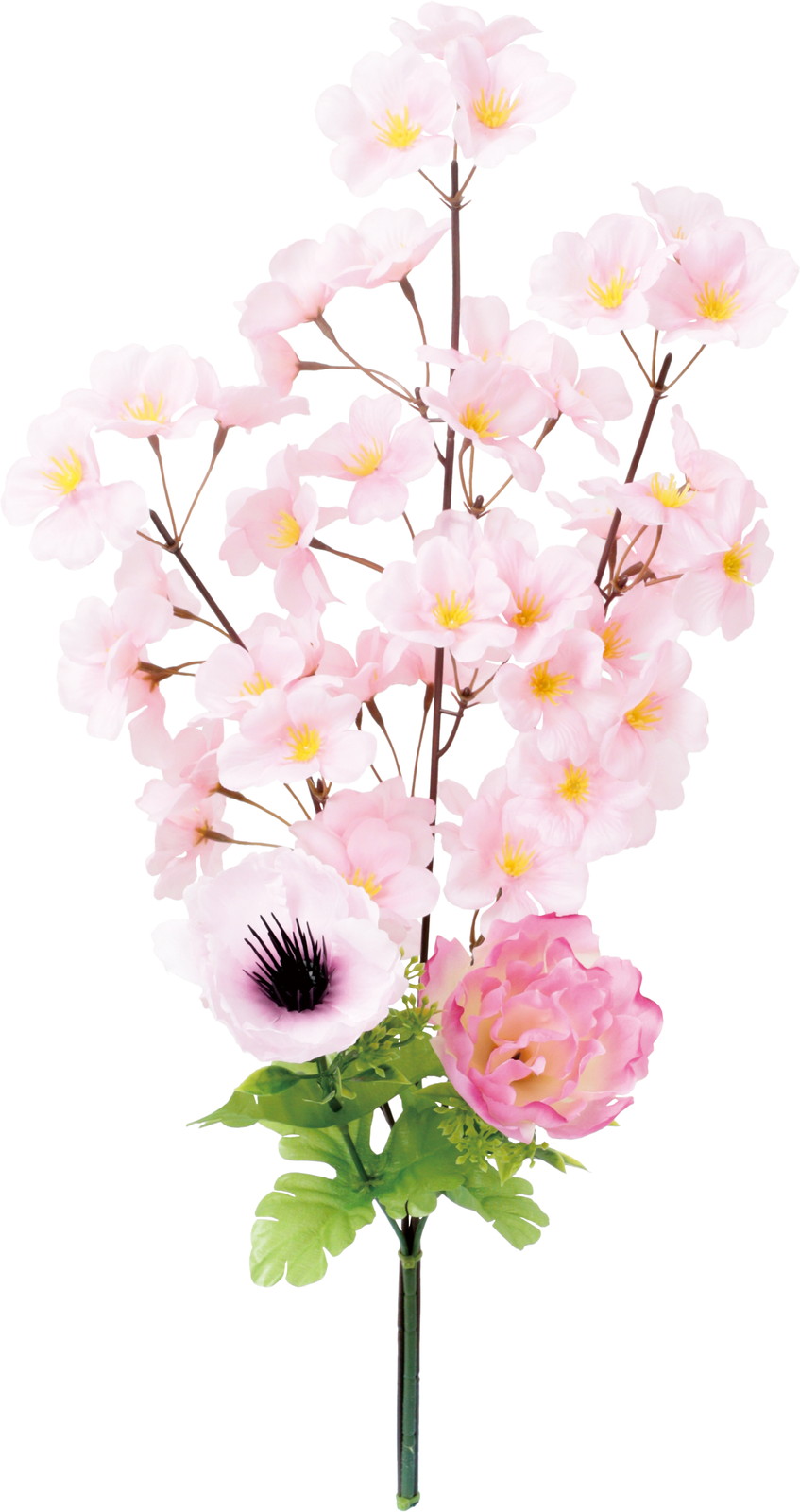 ��¸����(���)