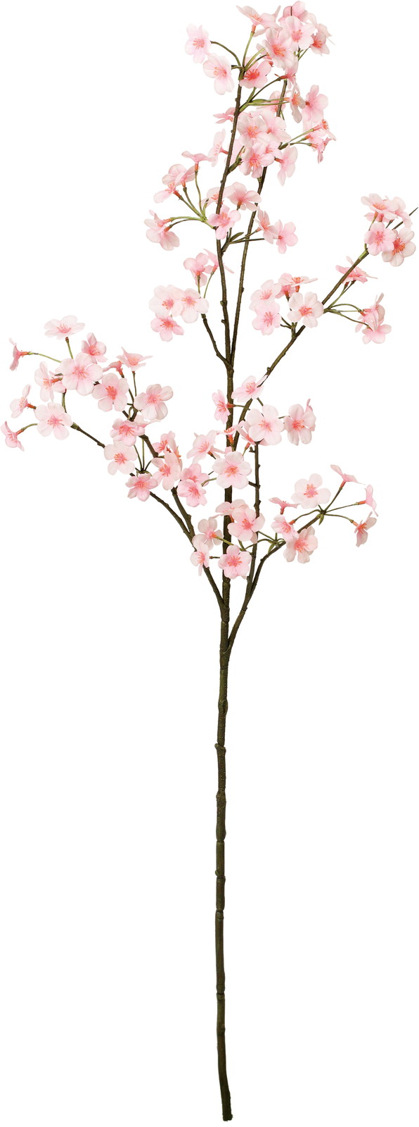 ��ư��������