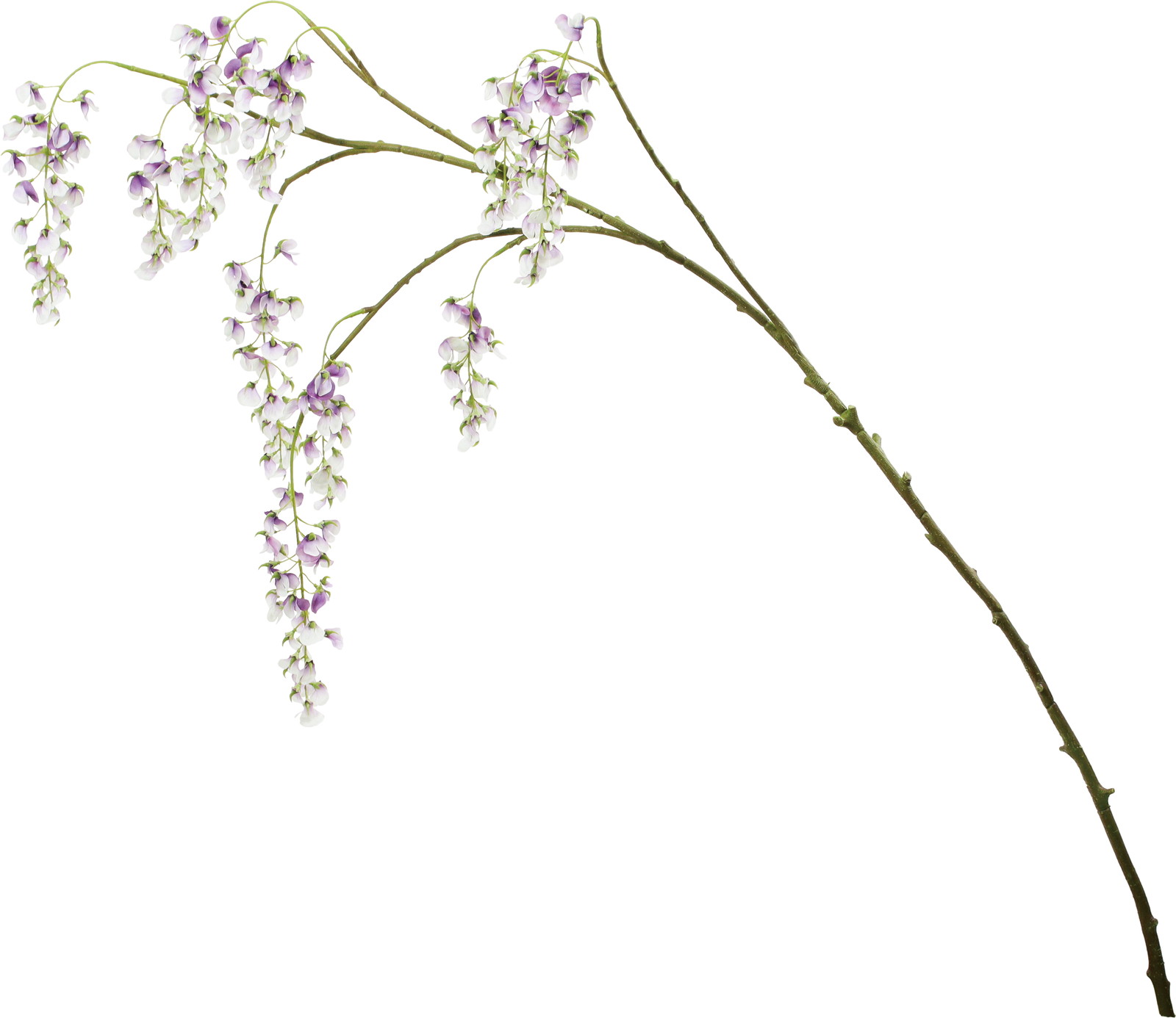 ����ر�����