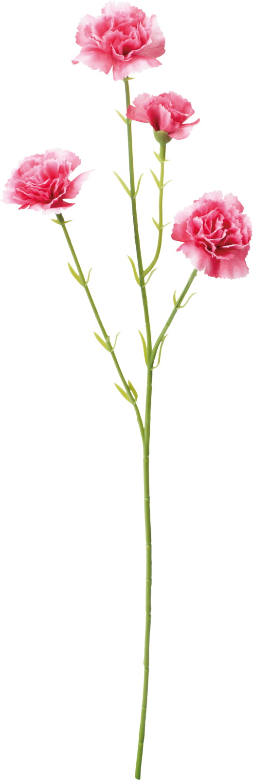 ��Ȱ��ݽ��ڰ