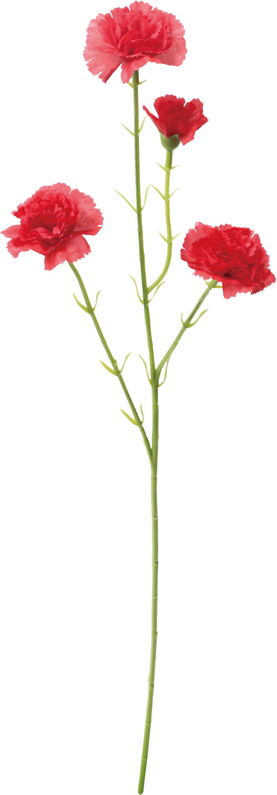 ��Ȱ��ݽ��ڰ