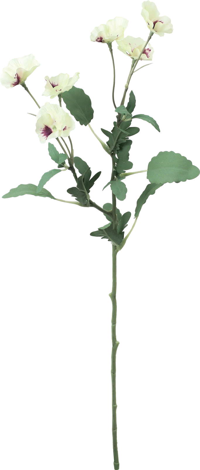 エレナパンジースプレー