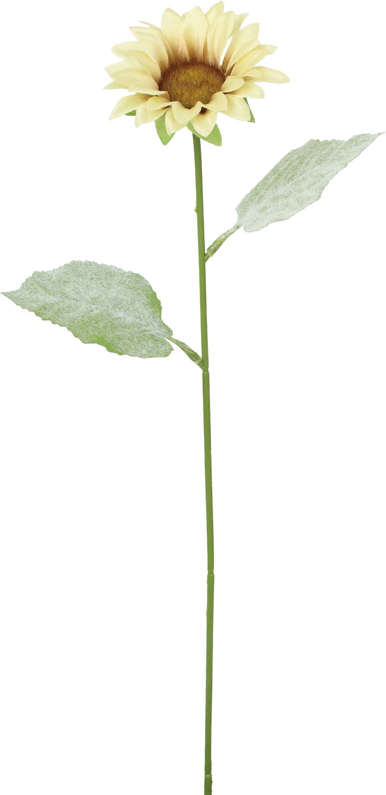 ニュアンスサテンヒマワリ