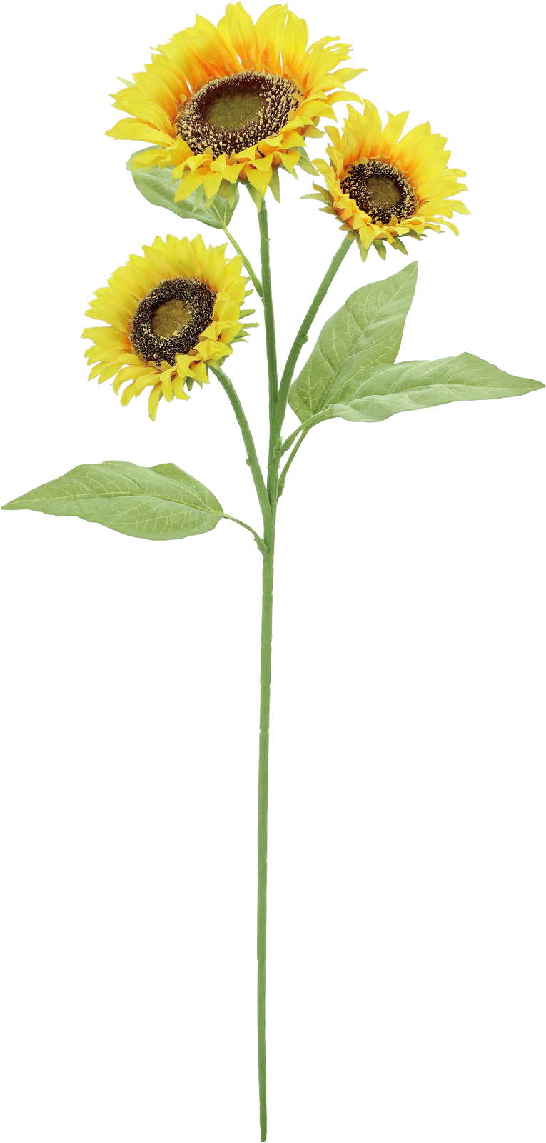 ̨���޻���ܰ���ڰ