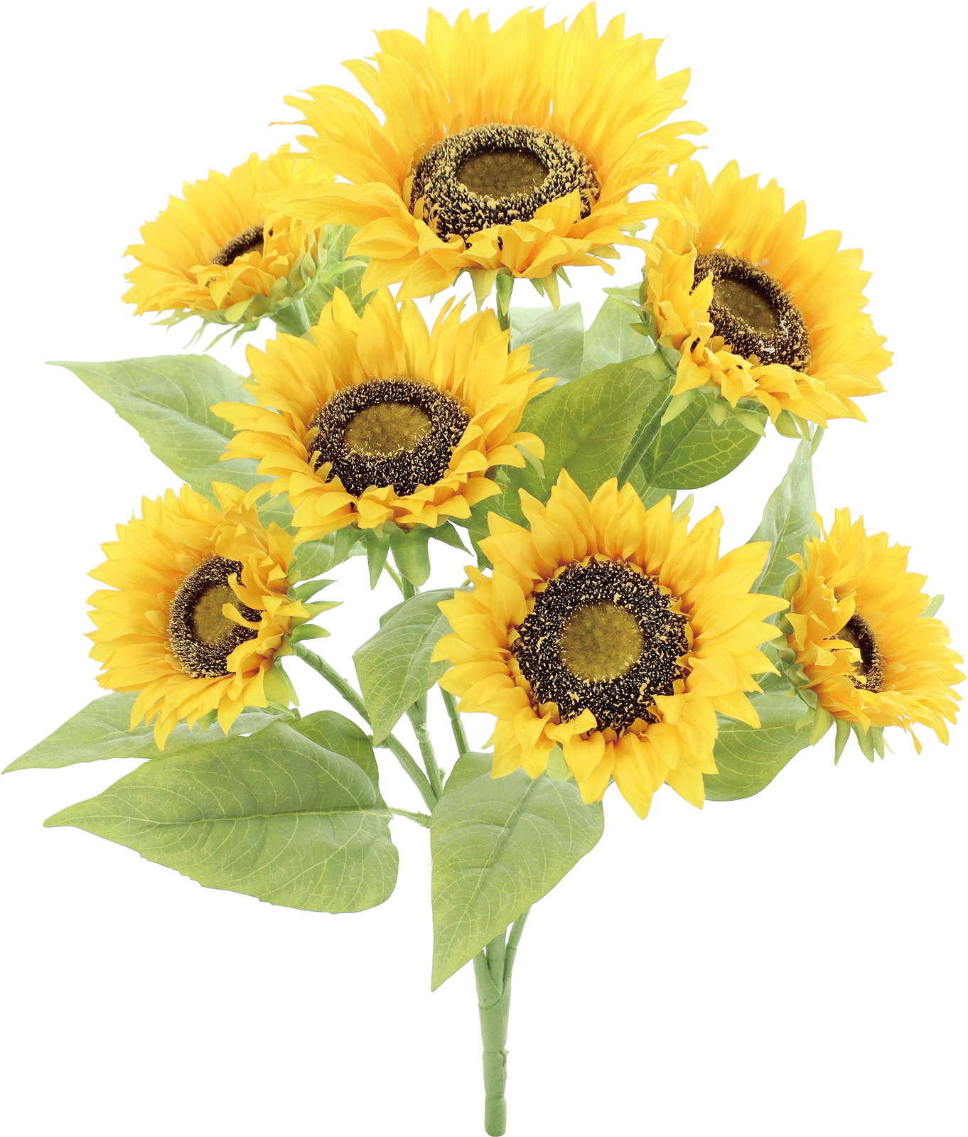 �ٵ�޻���ܰ�ޯ��