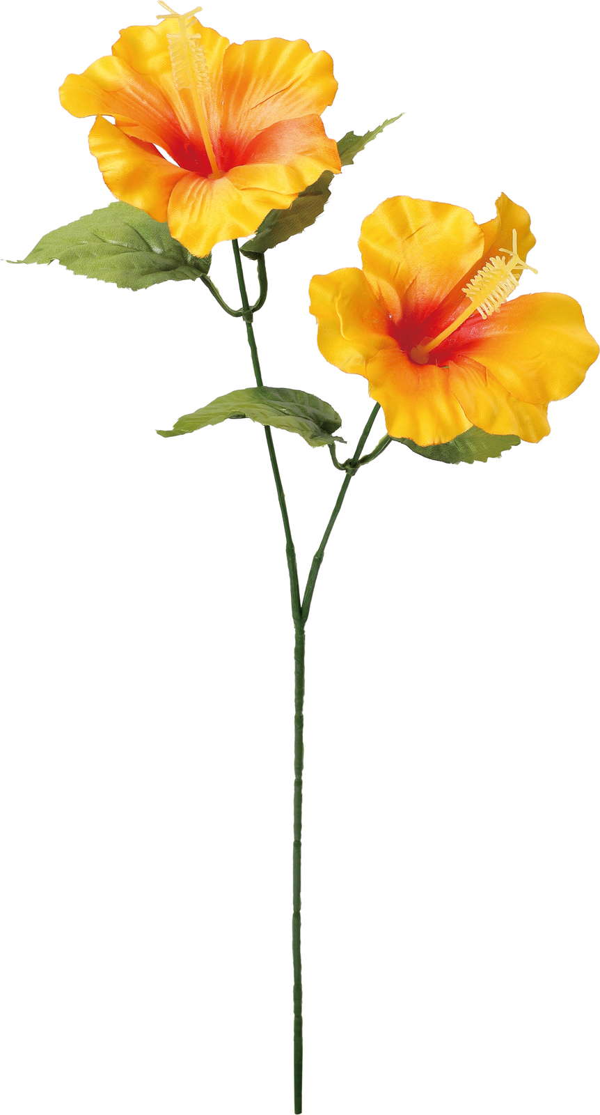 ハイビスカススプレー