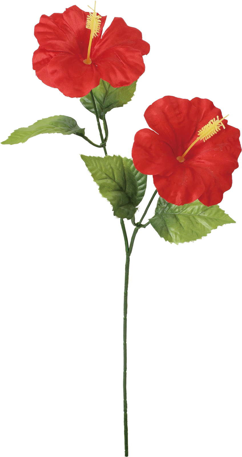 ハイビスカススプレー