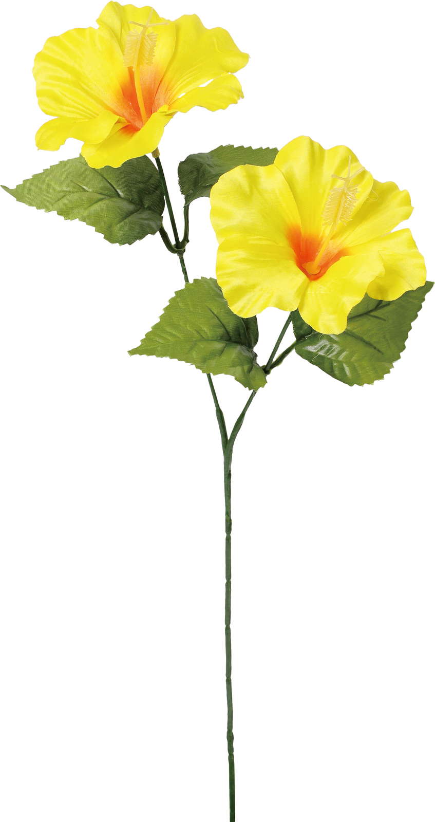 ハイビスカススプレー