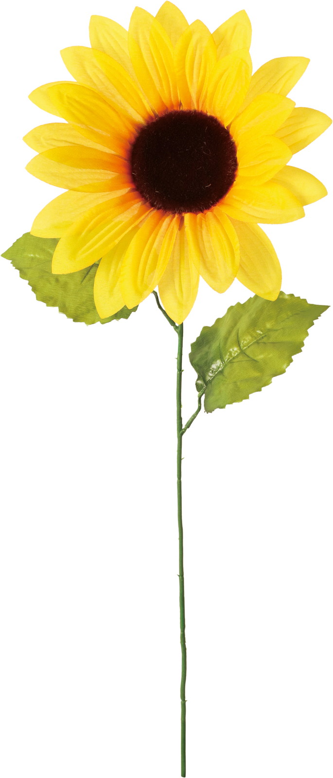 シングルヒマワリ