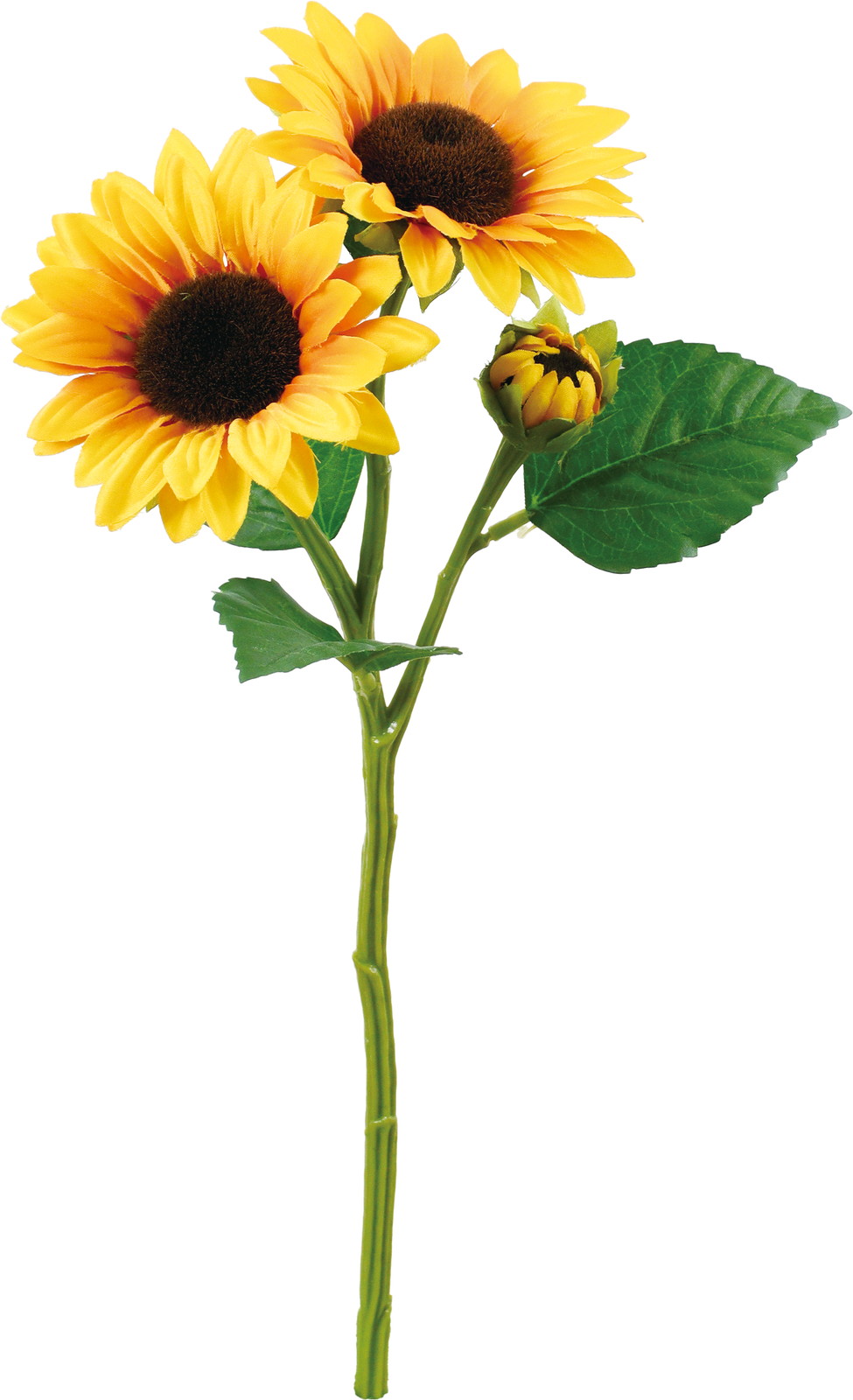 ������ؽ��ڰ