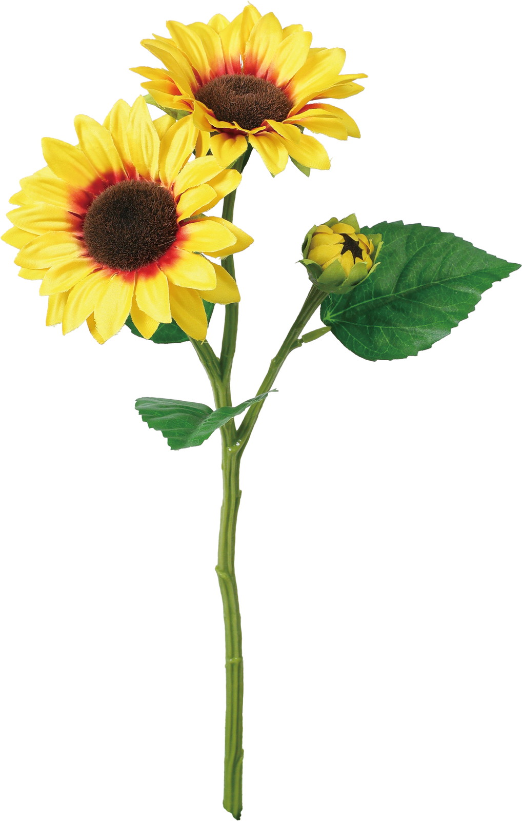 ������ؽ��ڰ