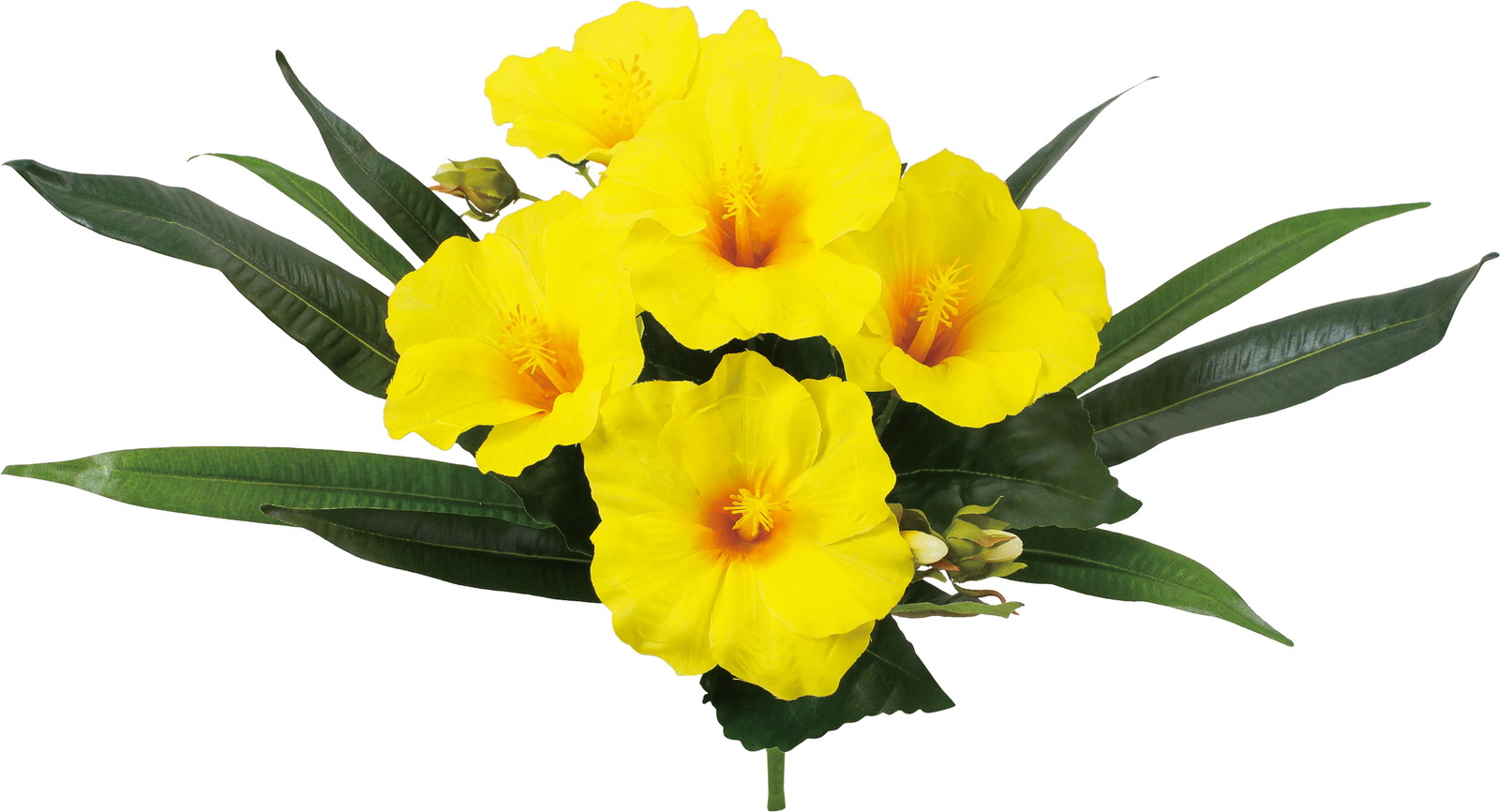 ����く680 ʲ�޽��Я���ޯ��