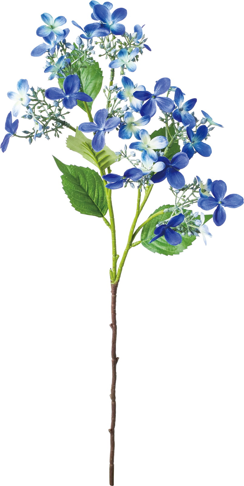 �޸��޻����ڰ