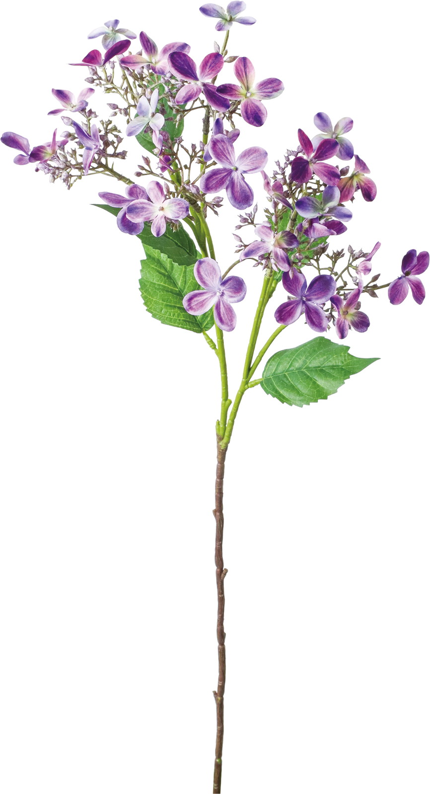 �޸��޻����ڰ