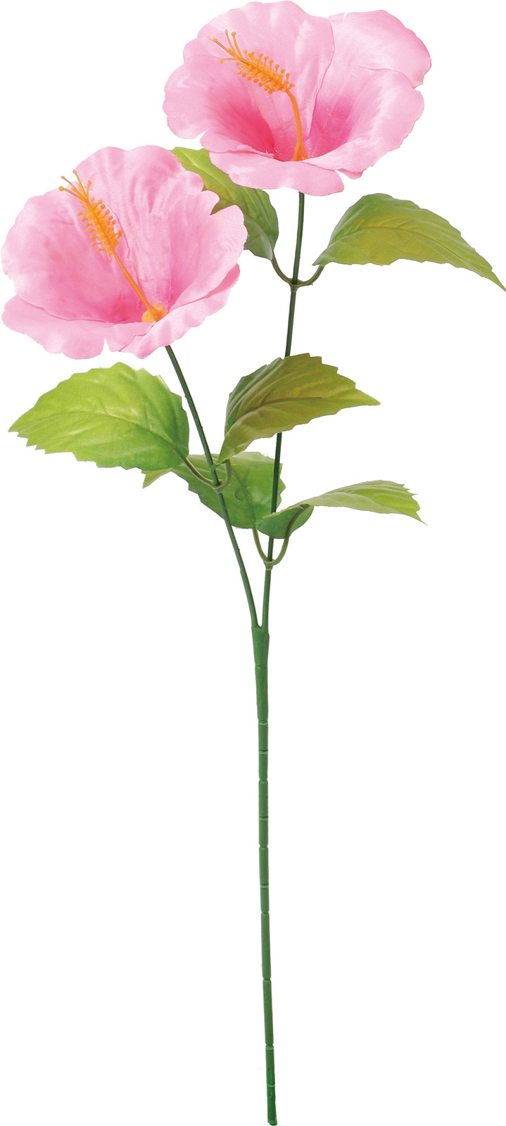 元上代¥180 ハイビスカススプレー