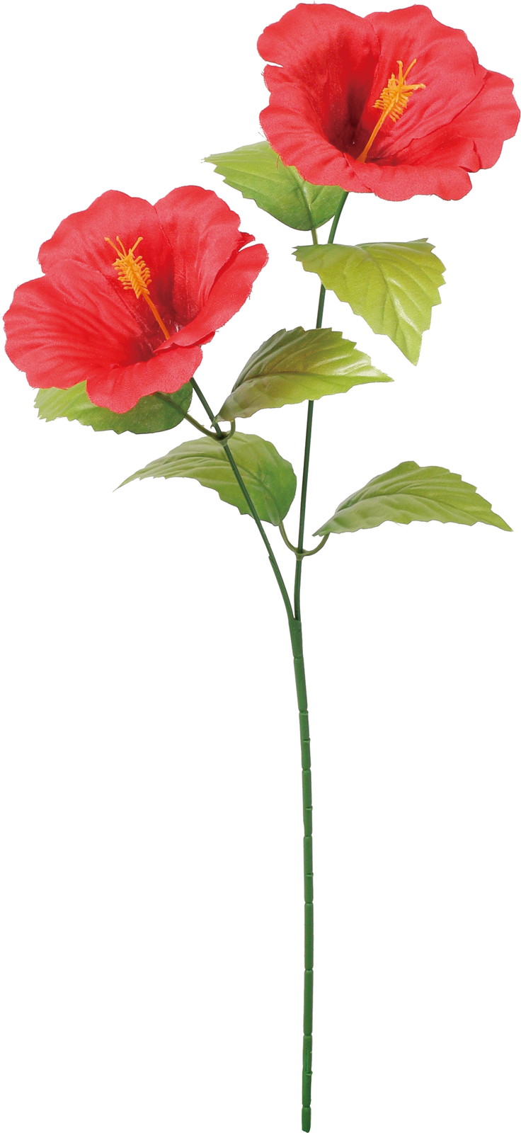 ����く180 ʲ�޽�����ڰ