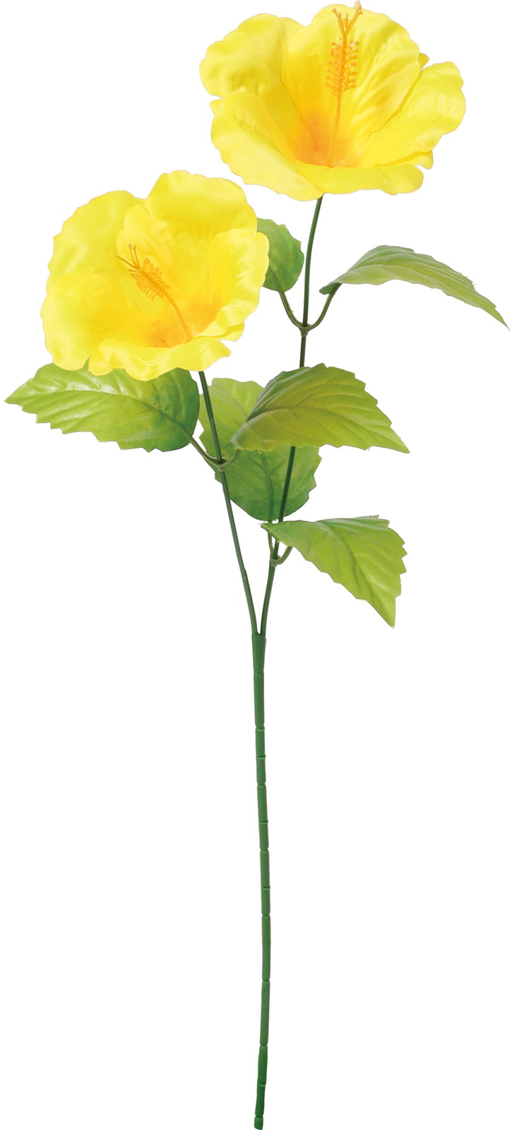 ����く180 ʲ�޽�����ڰ