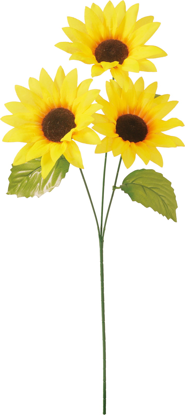 ����く180 ����*3