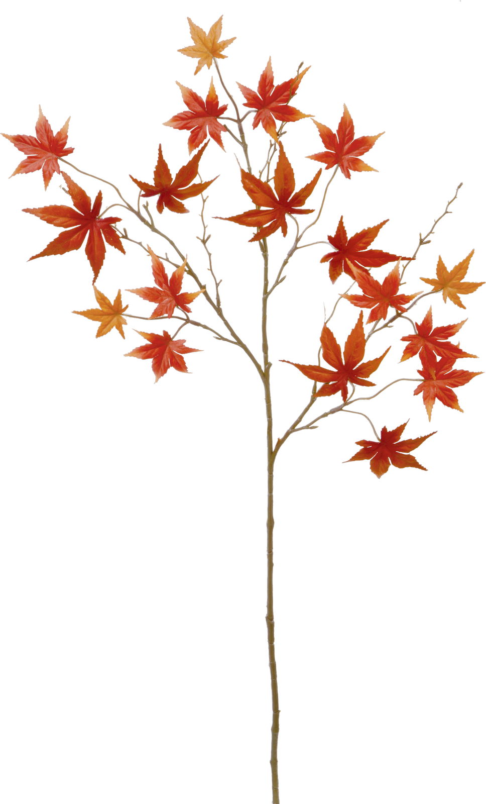 �м������