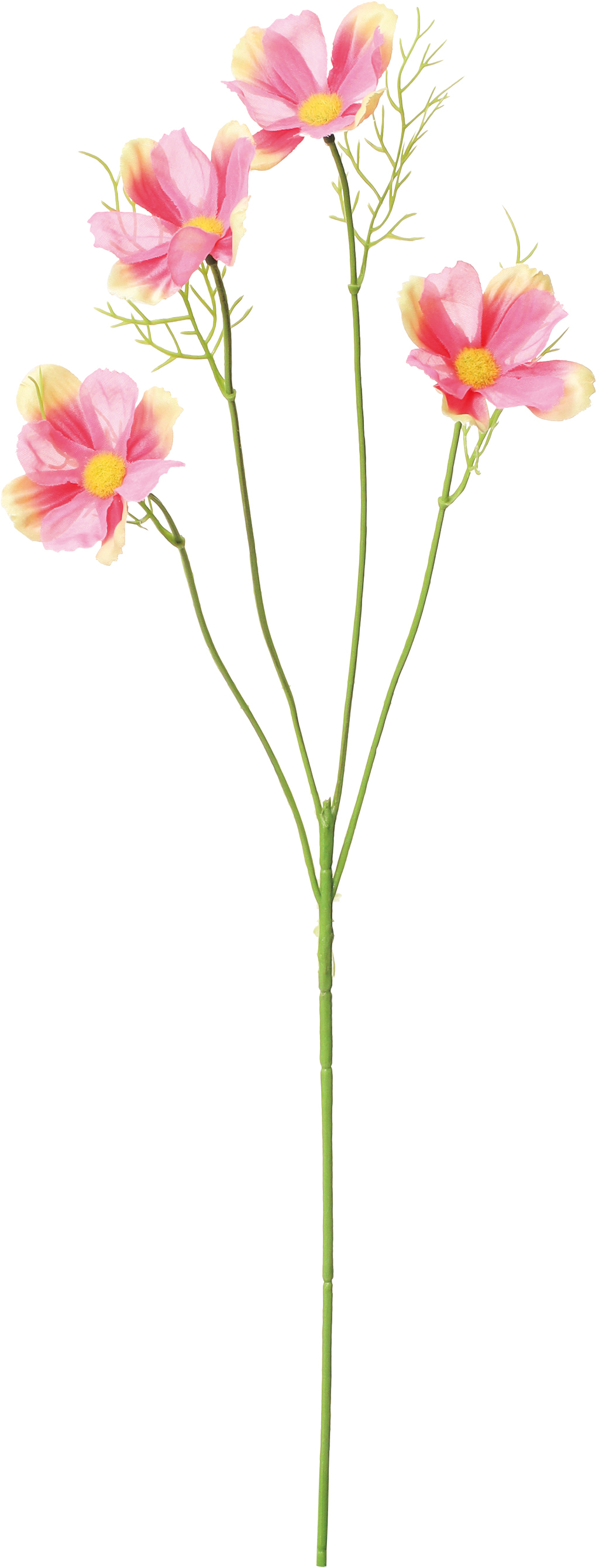 ����ݼް��ӽ