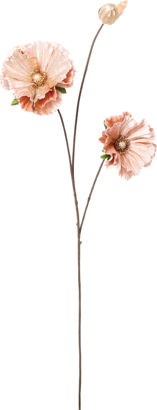 ベルベットポピースプレー