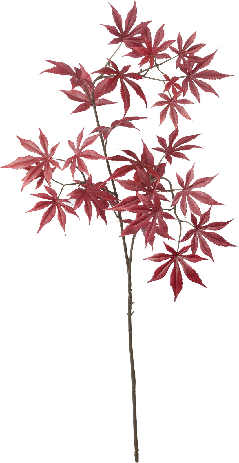 コウヨウモミジスプレー