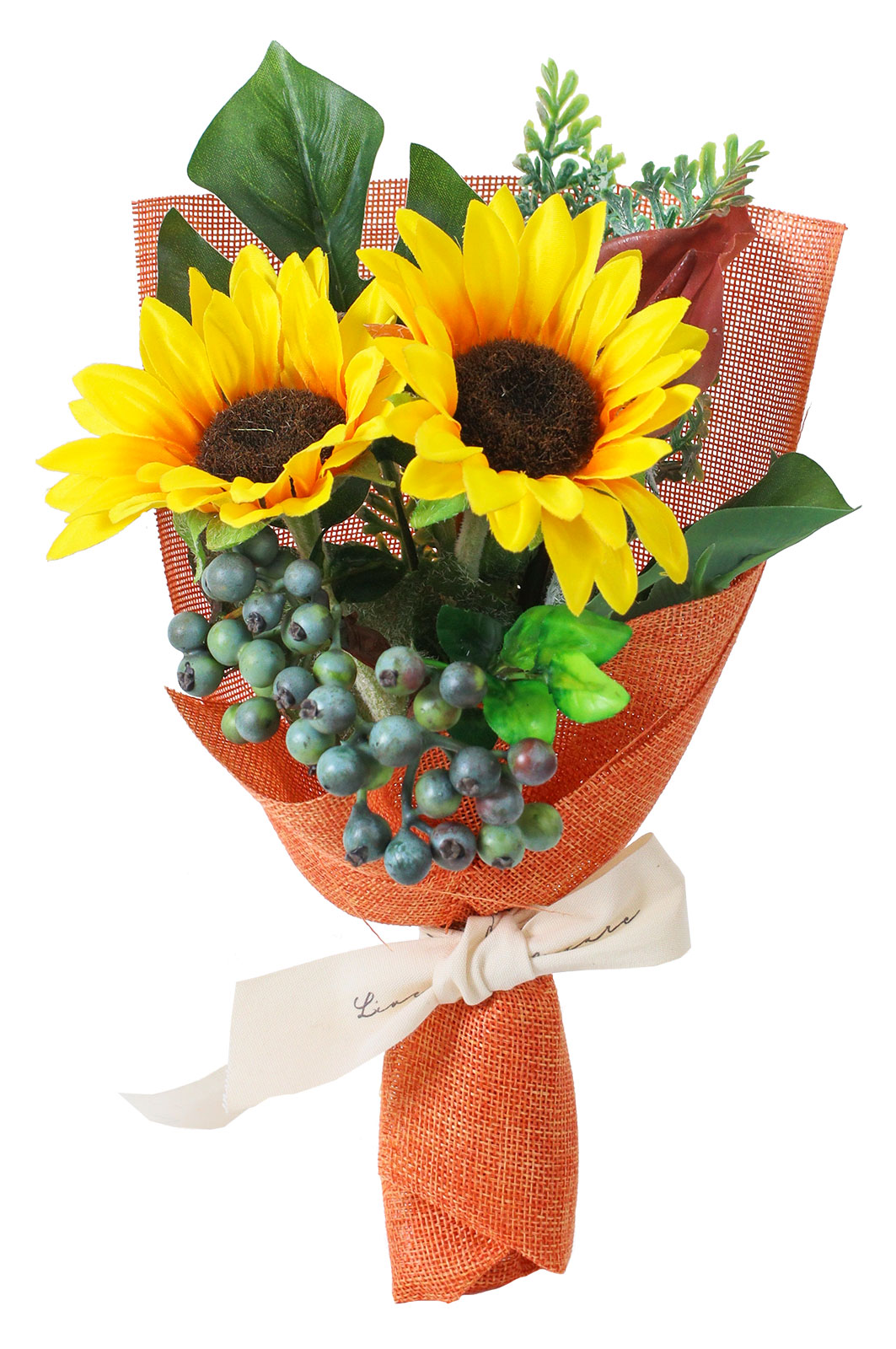 ���ް� S ����